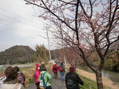 �͔͉��Z�V�̑�